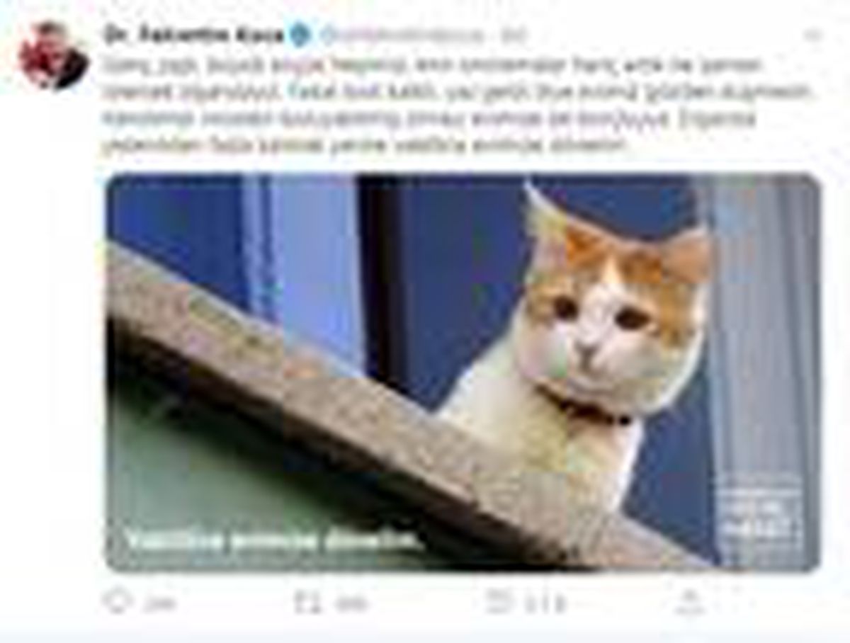 Bakan Koca: Vakitlice evimize dönelim