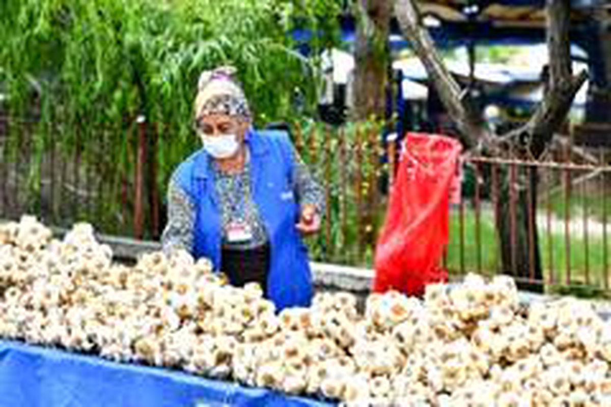 Başkent\'in güçlü kadınları
