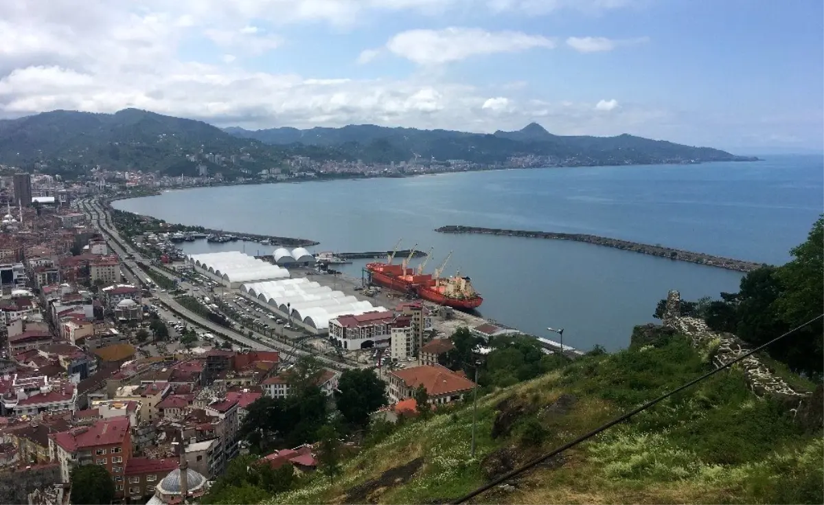 Giresun Limanı arı gibi işliyor