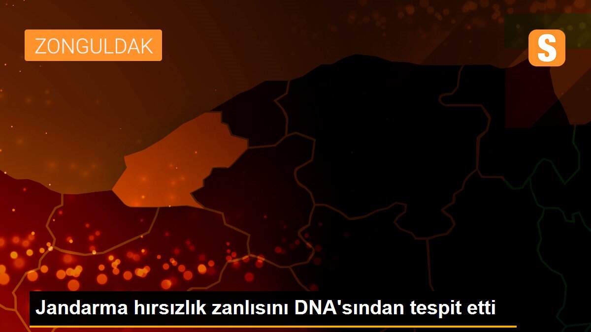 Jandarma hırsızlık zanlısını DNA\'sından tespit etti