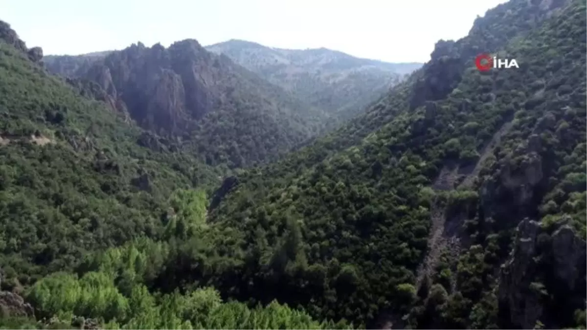 Kavurucu sıcakların vazgeçilmez adresi Sadağı Kanyonu