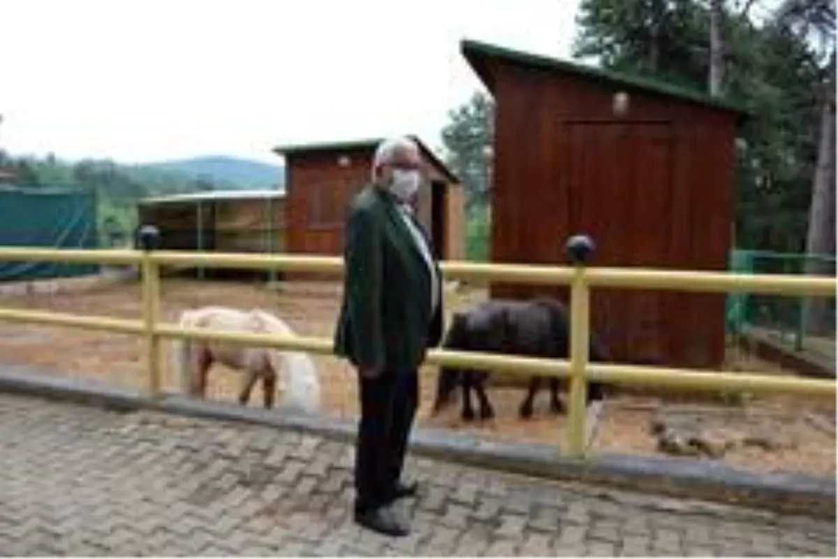 Kdz. Ereğli\'de plaj, mesire ve piknik alanları yeniden hizmete açılıyor