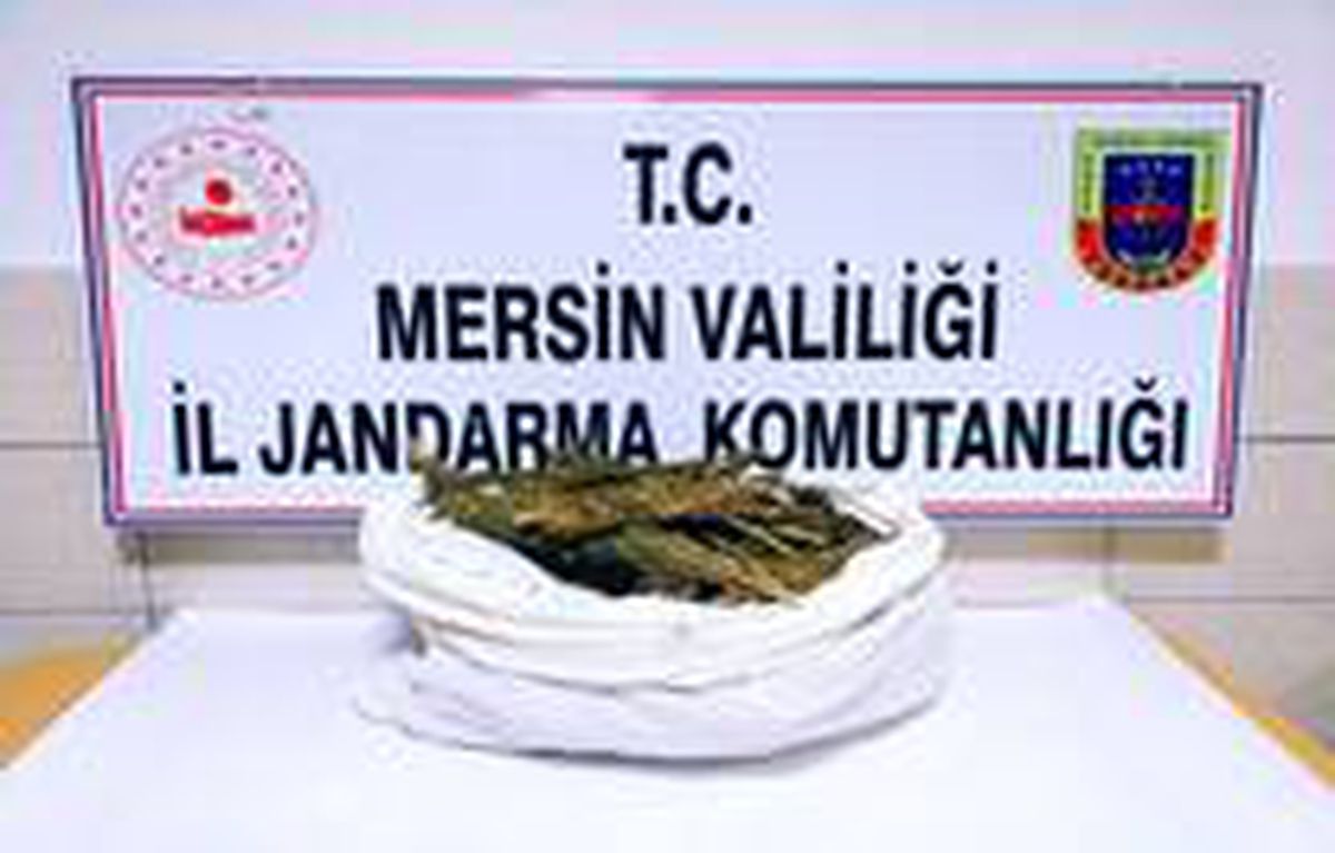 Mersin\'de 12 kilo esrar ele geçirildi