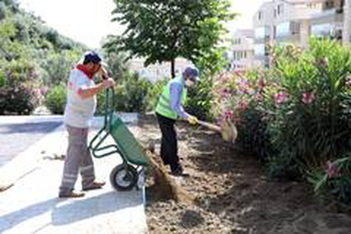 Mudanya\'da yaz temizliği devam ediyor