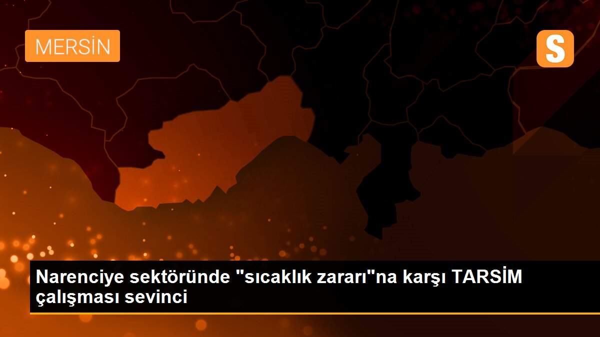 Narenciye sektöründe "sıcaklık zararı"na karşı TARSİM çalışması sevinci