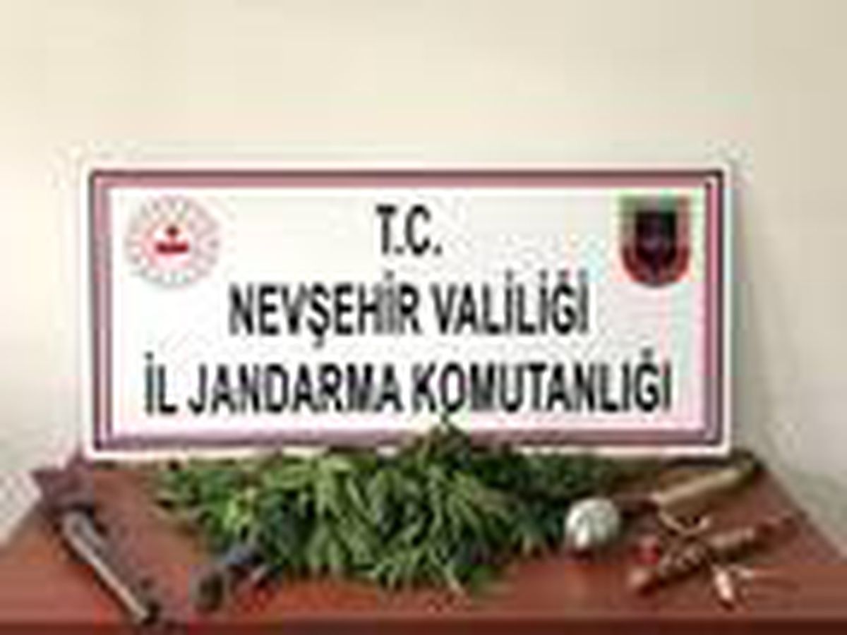 Nevşehir\'de İHA aracılığıyla 30 kök Hint keneviri ele geçirildi