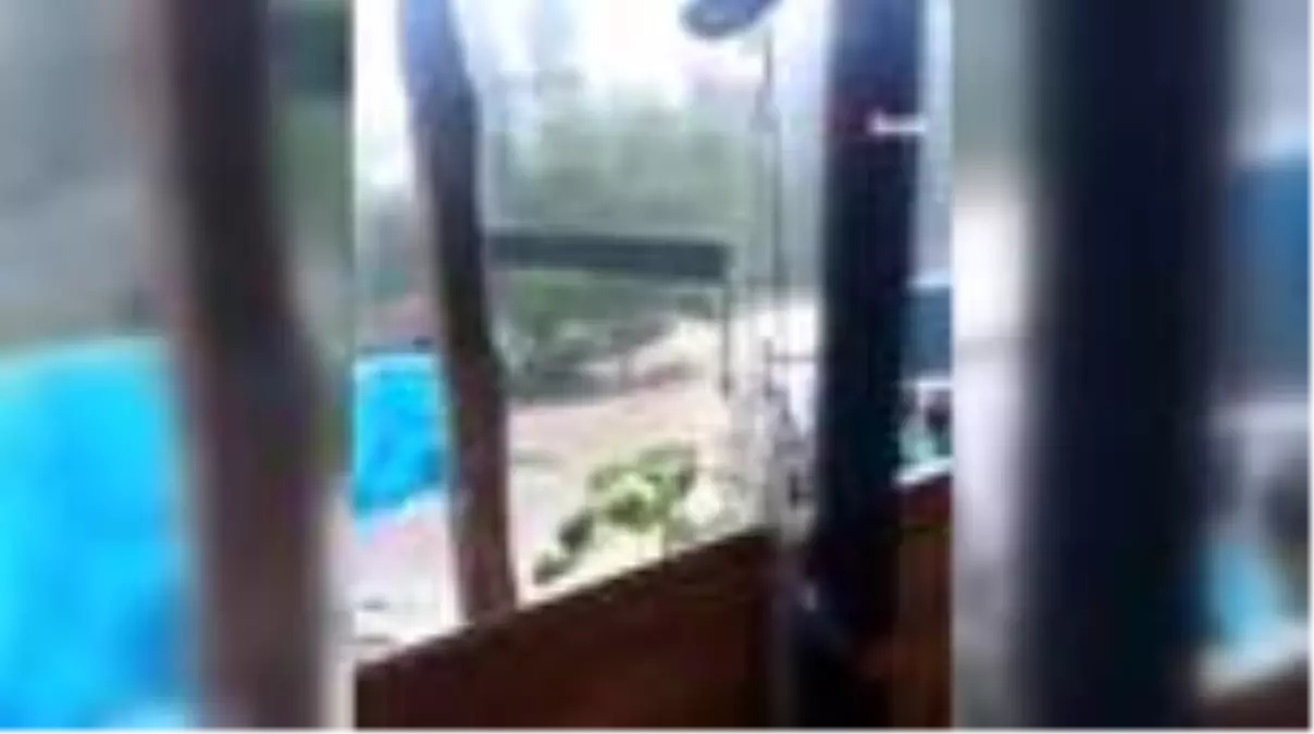 Son dakika haber! Amasya\'da ceviz büyüklüğündeki dolu tarım alanlarını vurdu