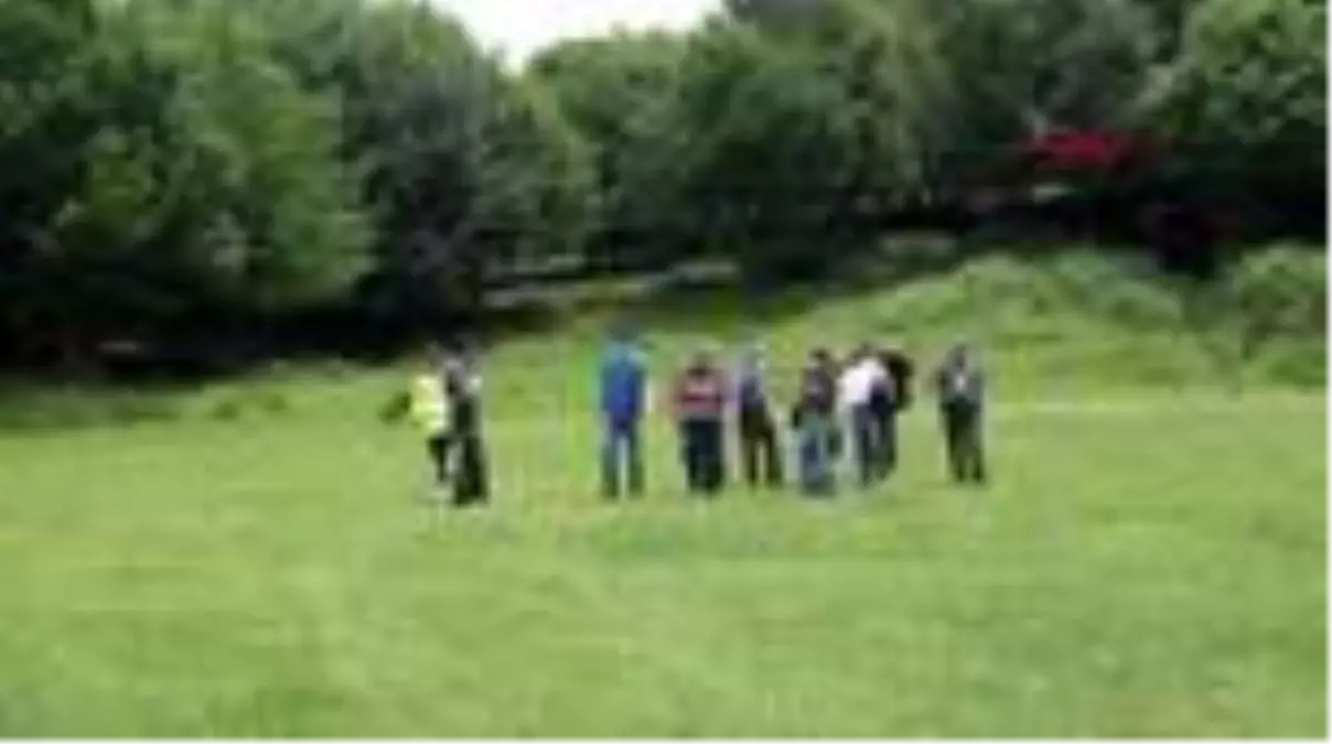 Son dakika haber | DÜZCE Piknik alanında, zehirlenen hayvan ölüleri bulundu