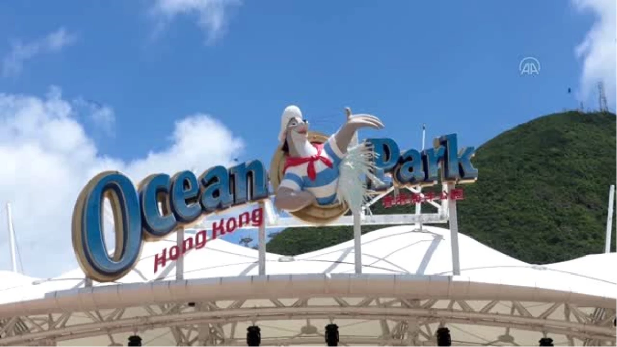 "Ocean Park" tema parkı aylar sonra kapılarını ziyaretçilere açtı - HONG