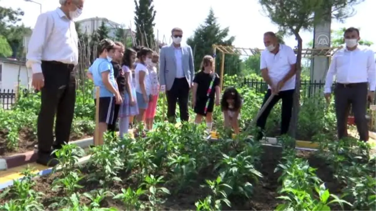 Öğretmen ve öğrencileri okul bahçesinde sebze üretiyor