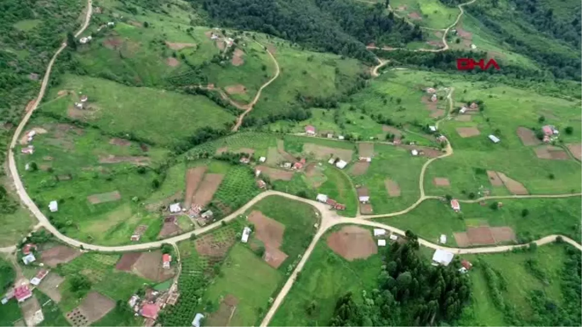 ORDU KARADENİZ\'DE YEŞİLE YOLCULUK BAŞLADI