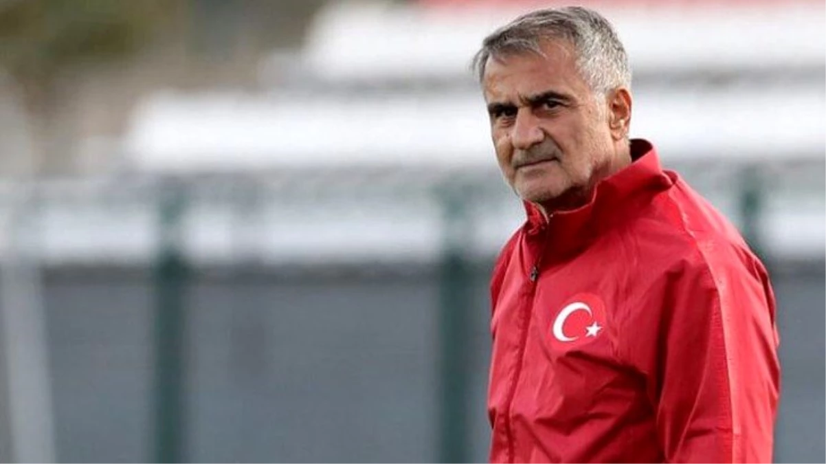 Şenol Güneş, EURO 2020\'deki rakiplerine WhatsApp\'tan seslendi: Atmosferi hayal et