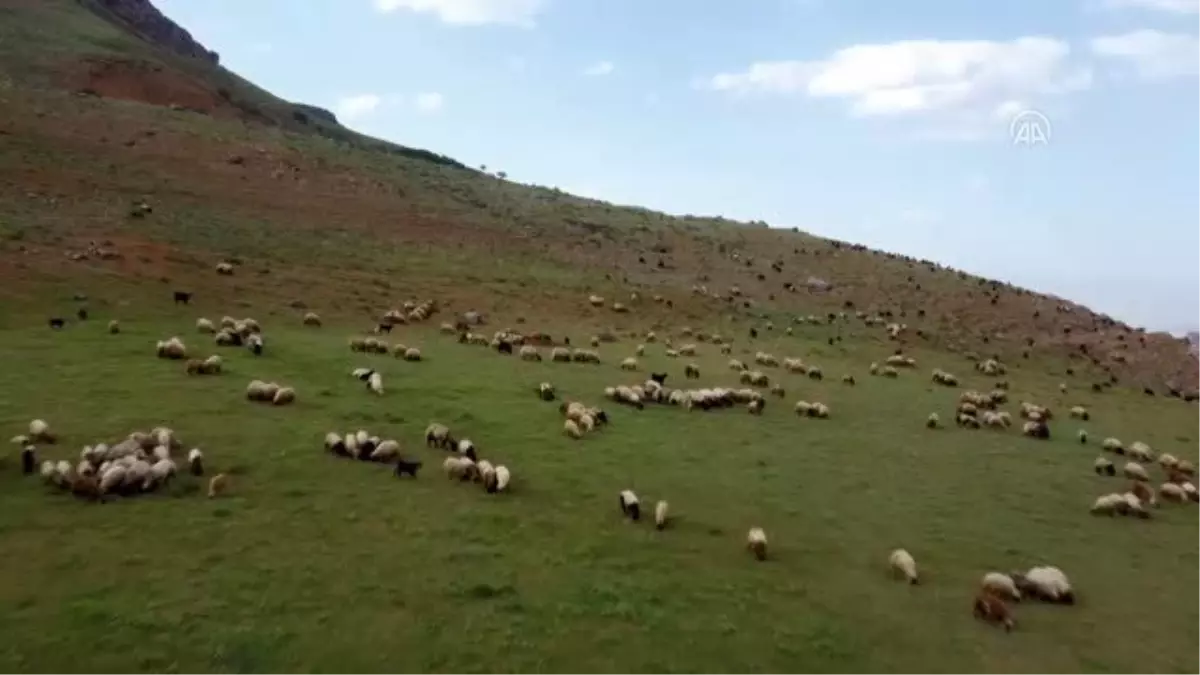 Yayla çocuklarına eğitimcilerden "LGS sınavına hazırlık" desteği