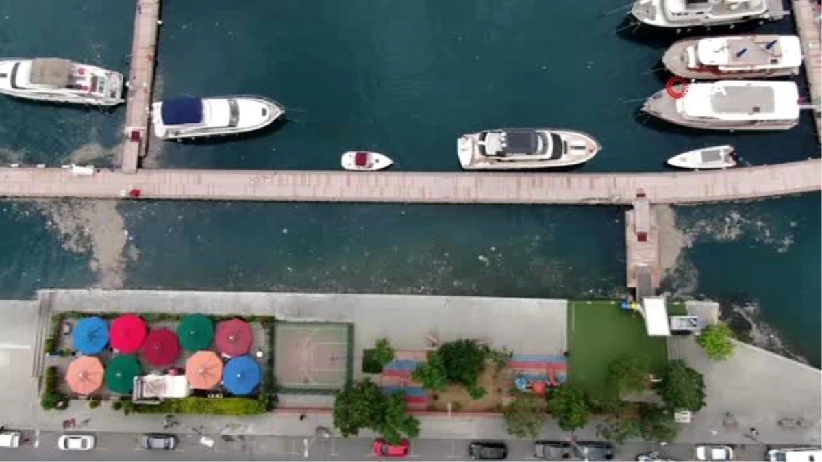 İstanbul Boğazı\'nda çöp adaları oluştu