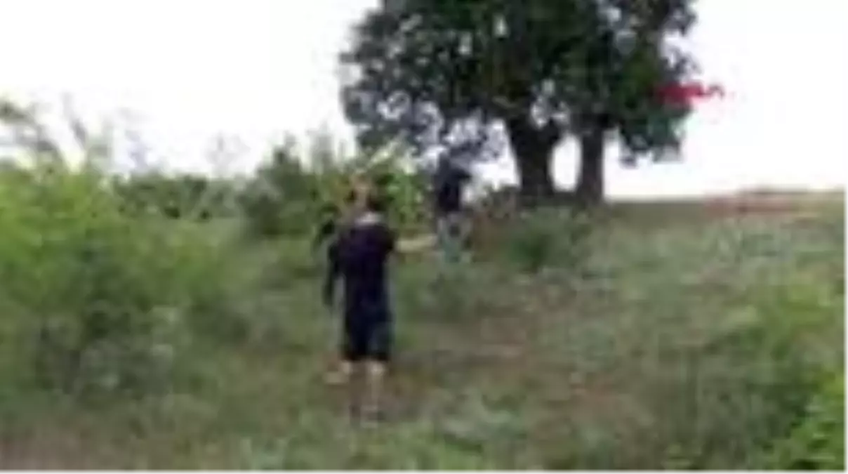 KIRKLARELİ Nesli tükenen şah kartalları için Kırklareli\'de yuva kuruyorlar