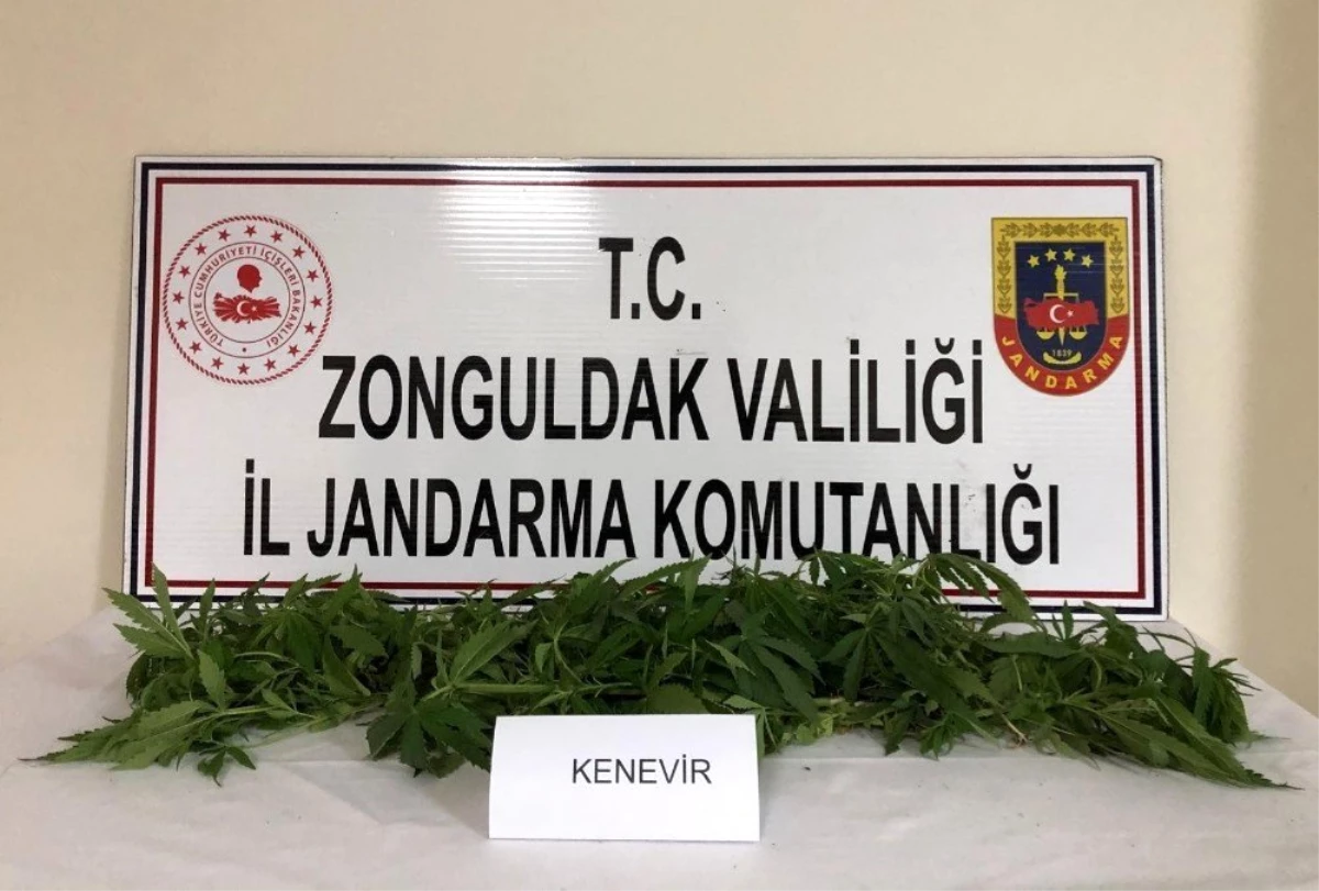 Zonguldak\'ta uyuşturucu operasyonu: 1 gözaltı