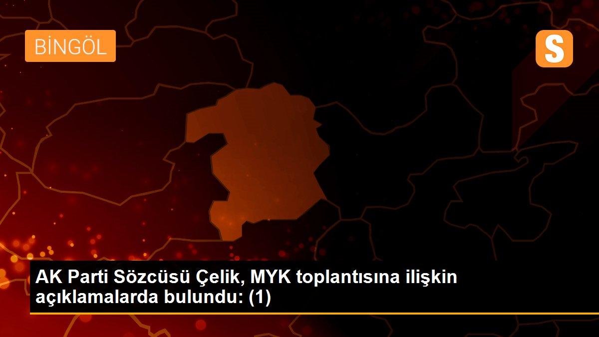 Son dakika haberi | AK Parti Sözcüsü Çelik, MYK toplantısına ilişkin açıklamalarda bulundu: (1)