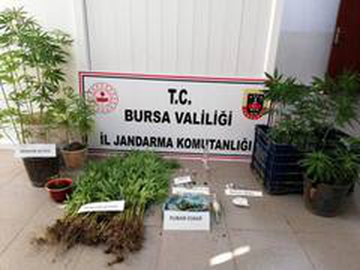 Bursa jandarmadan uyuşturucuya geçit yok