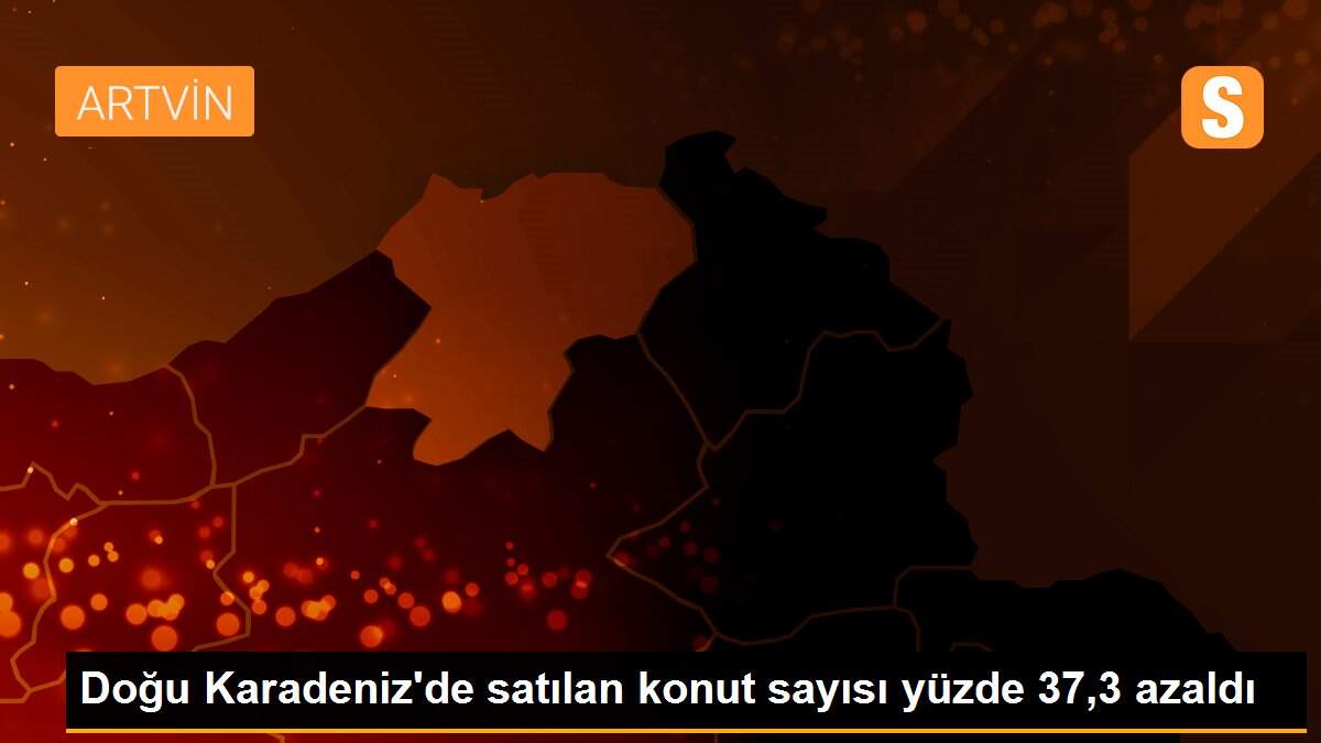 Doğu Karadeniz\'de satılan konut sayısı yüzde 37,3 azaldı