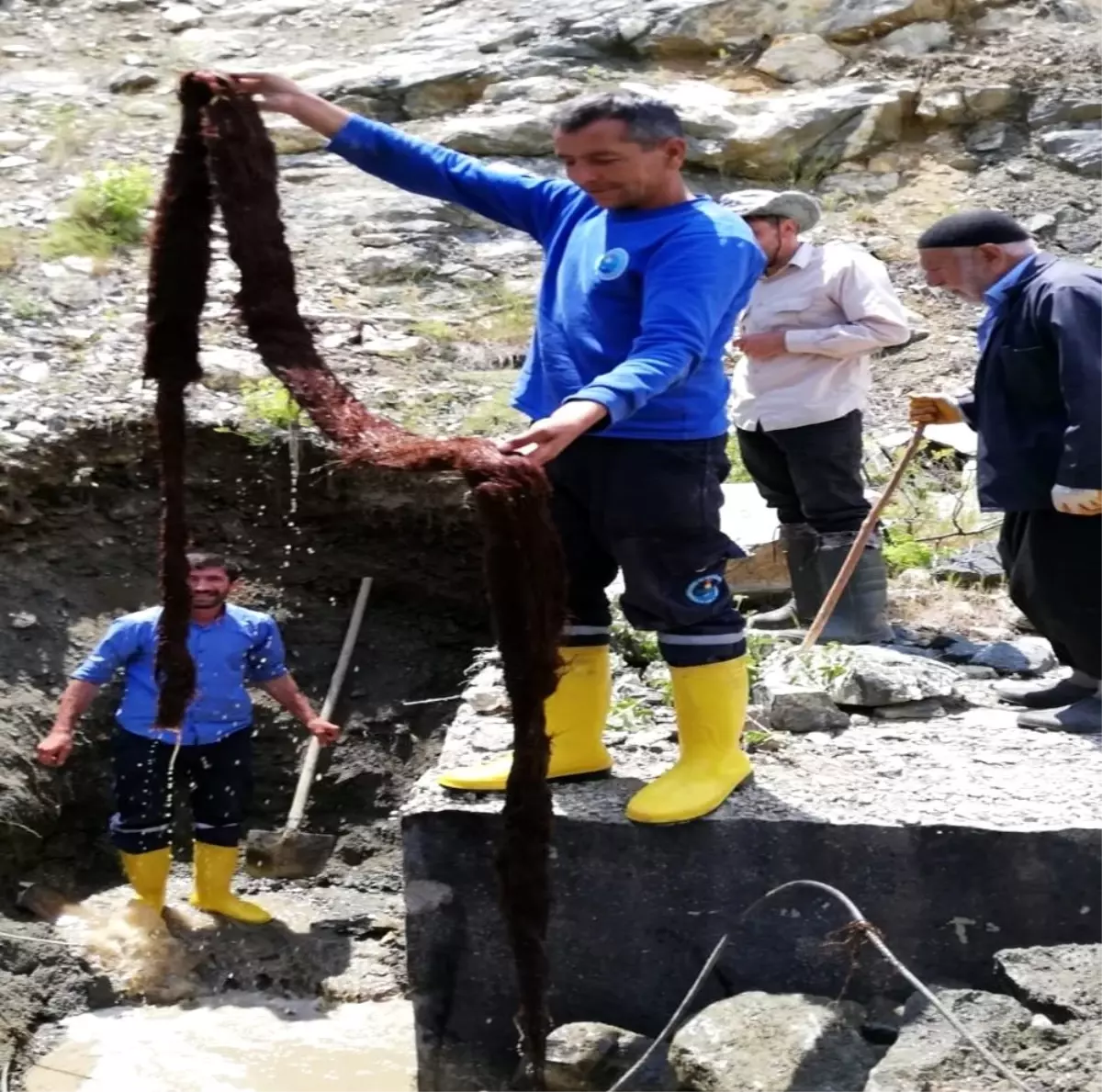 İçme suyu borusundan çıkan ağaç kökü görenleri şaşkına çevirdi