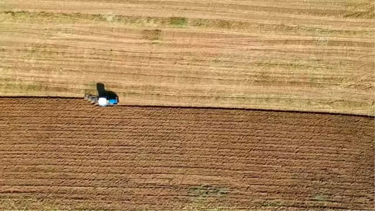 "Kırkağaç kavunu" tohumları toprakla buluştu