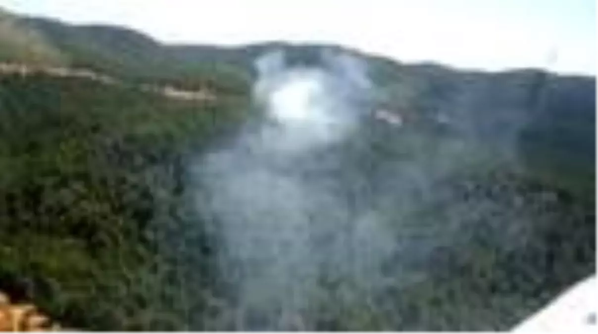 Son dakika haber: Milas\'taki orman yangını kontrol altına alınmaya çalışılıyor