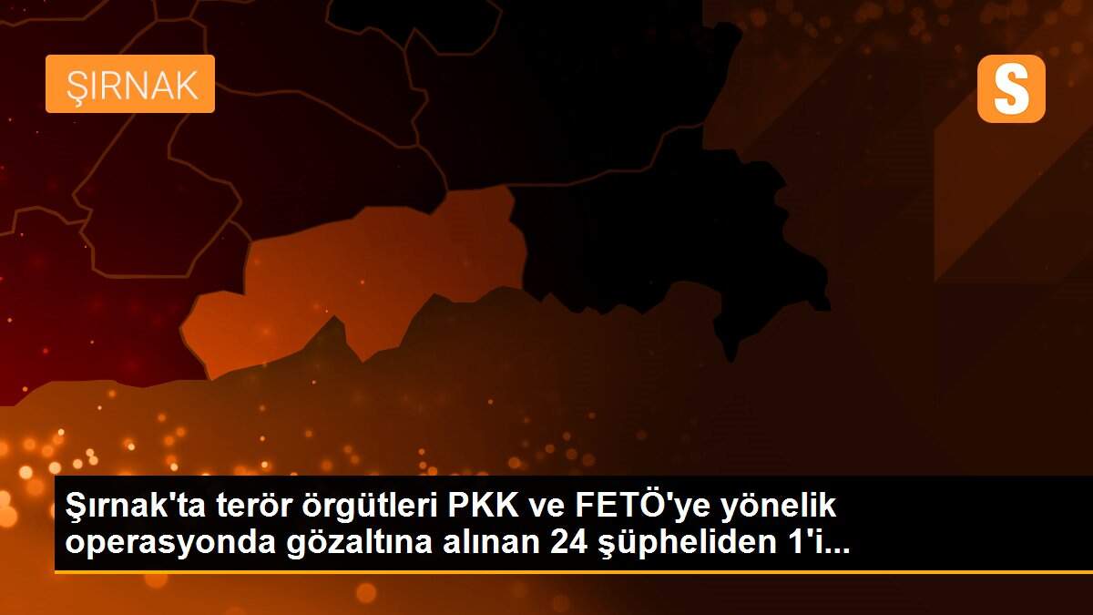 Şırnak\'ta terör örgütleri PKK ve FETÖ\'ye yönelik operasyonda gözaltına alınan 24 şüpheliden 1\'i...
