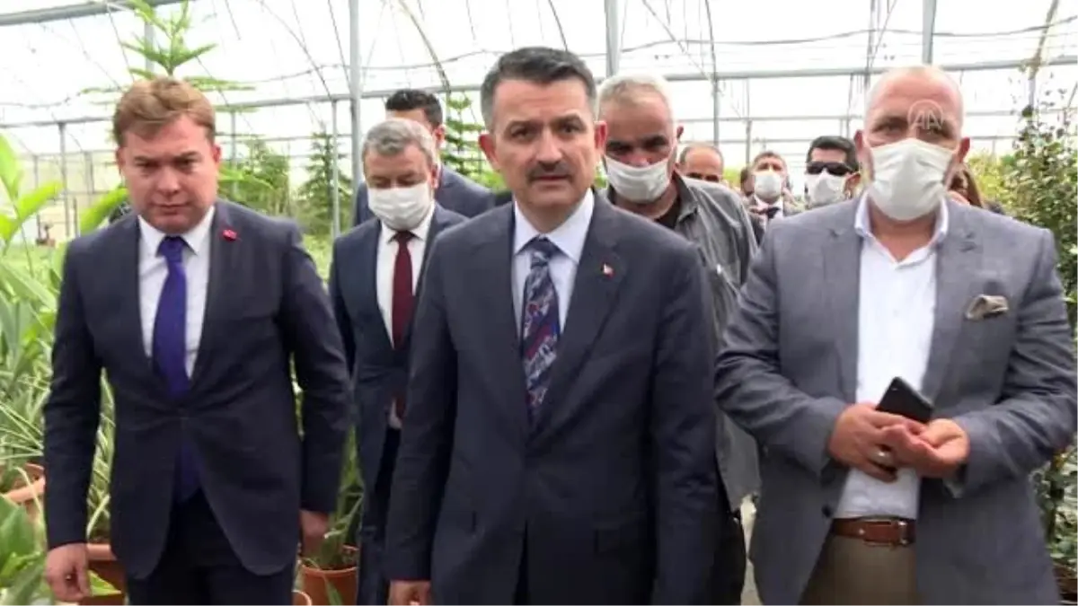 Tarım ve Orman Bakanı Bekir Pakdemirli, Bayındır\'da