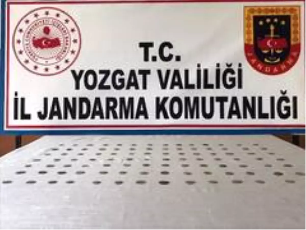 Son Dakika | Yozgat\'ta Selçuklu dönemine ait 97 adet sikke ele geçirildi