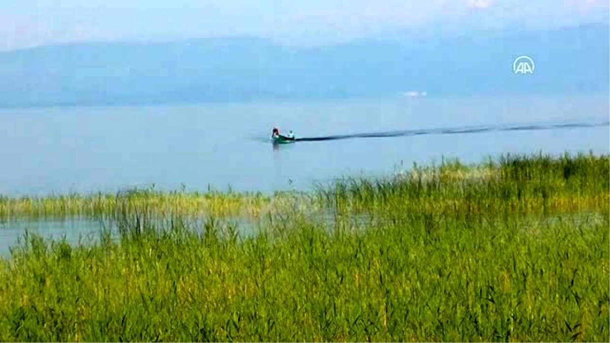 Beyşehir Gölü\'nde balıkçılar yeni sezonu kurban kesip dua ederek açtı