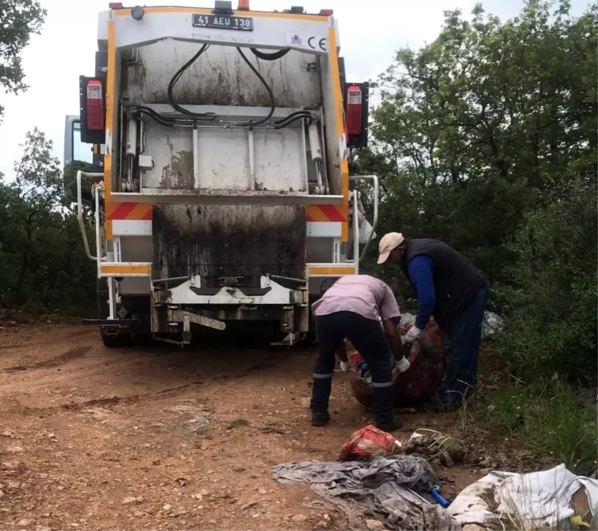 Son dakika... Dilovası\'nda ormanlık alanlar temizlendi