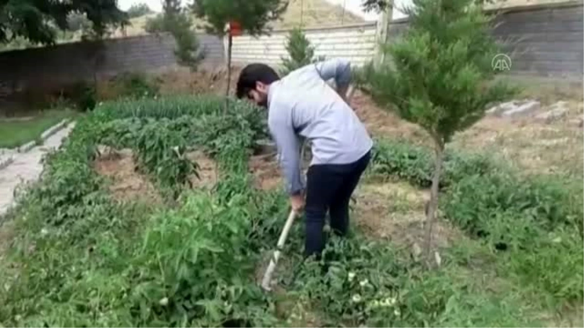 Kozluk\'ta okul bahçesinde sebze ve meyve yetiştiriliyor