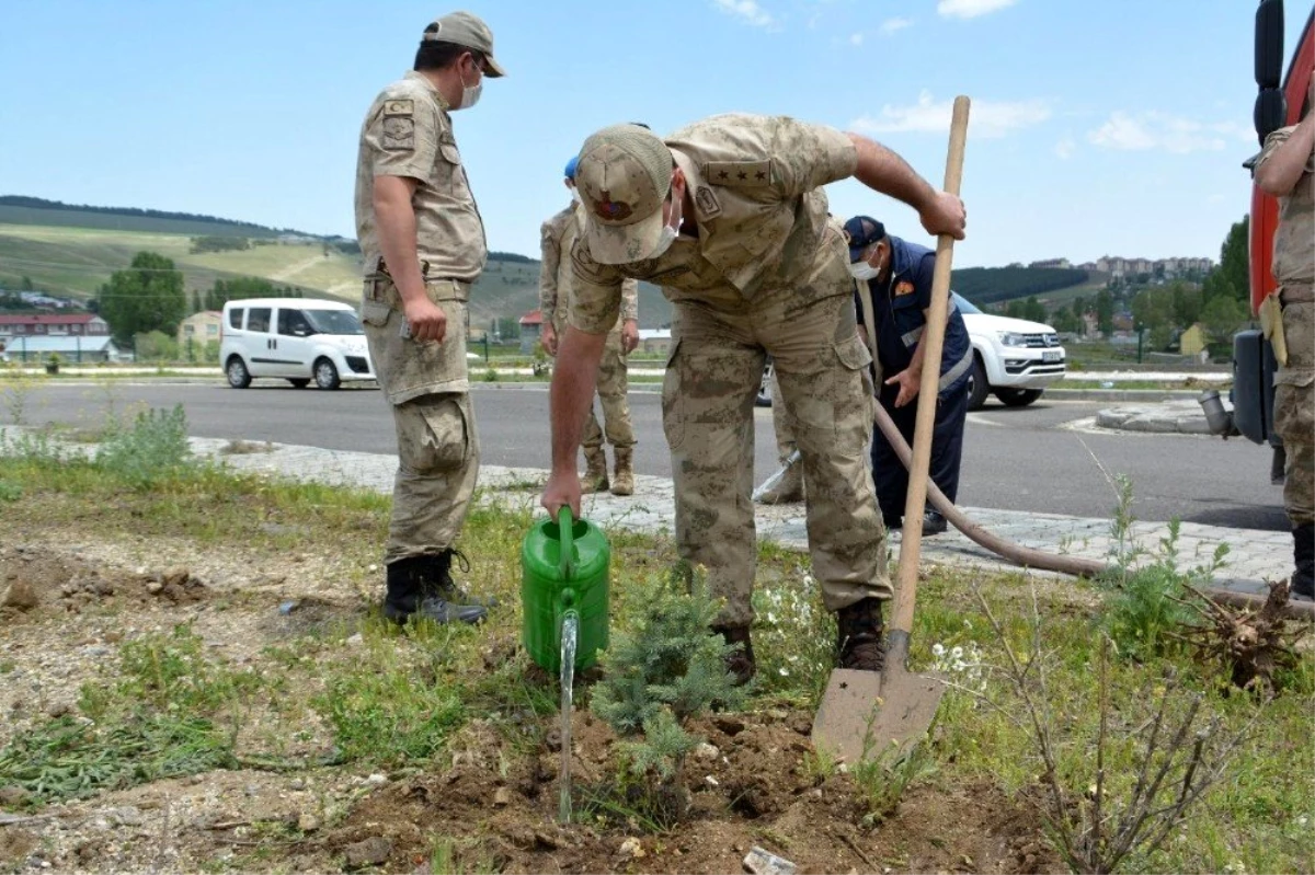 Sarıkamış\'ta Jandarma 181. Yıldönümünü Ağaç Dikerek Kutladı