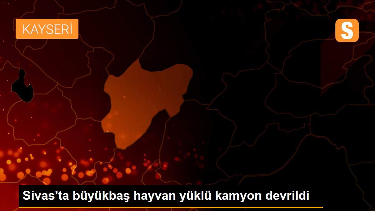 Son dakika haberleri: Sivas\'ta büyükbaş hayvan yüklü kamyon devrildi