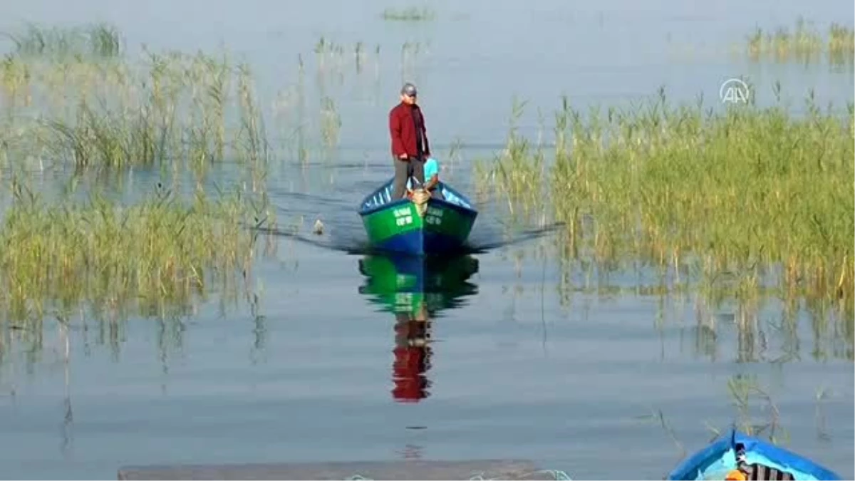 Son dakika haberi: Beyşehir Gölü\'nde av yasağının sona ermesiyle ağlar göl sularıyla buluştu