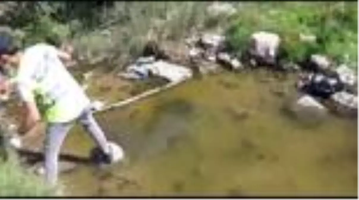 Son dakika haber... - Bodrum\'da 300 kaplumbağa için kurtarma operasyonu- Dere yatağını kapatıp yüzlerce kaplumbağayı...