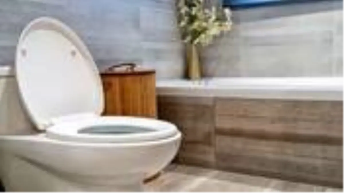Çinli uzmanlar uyardı: Klozet kapağı açıkken sifon çekmek koronavirüs bulaştırabilir