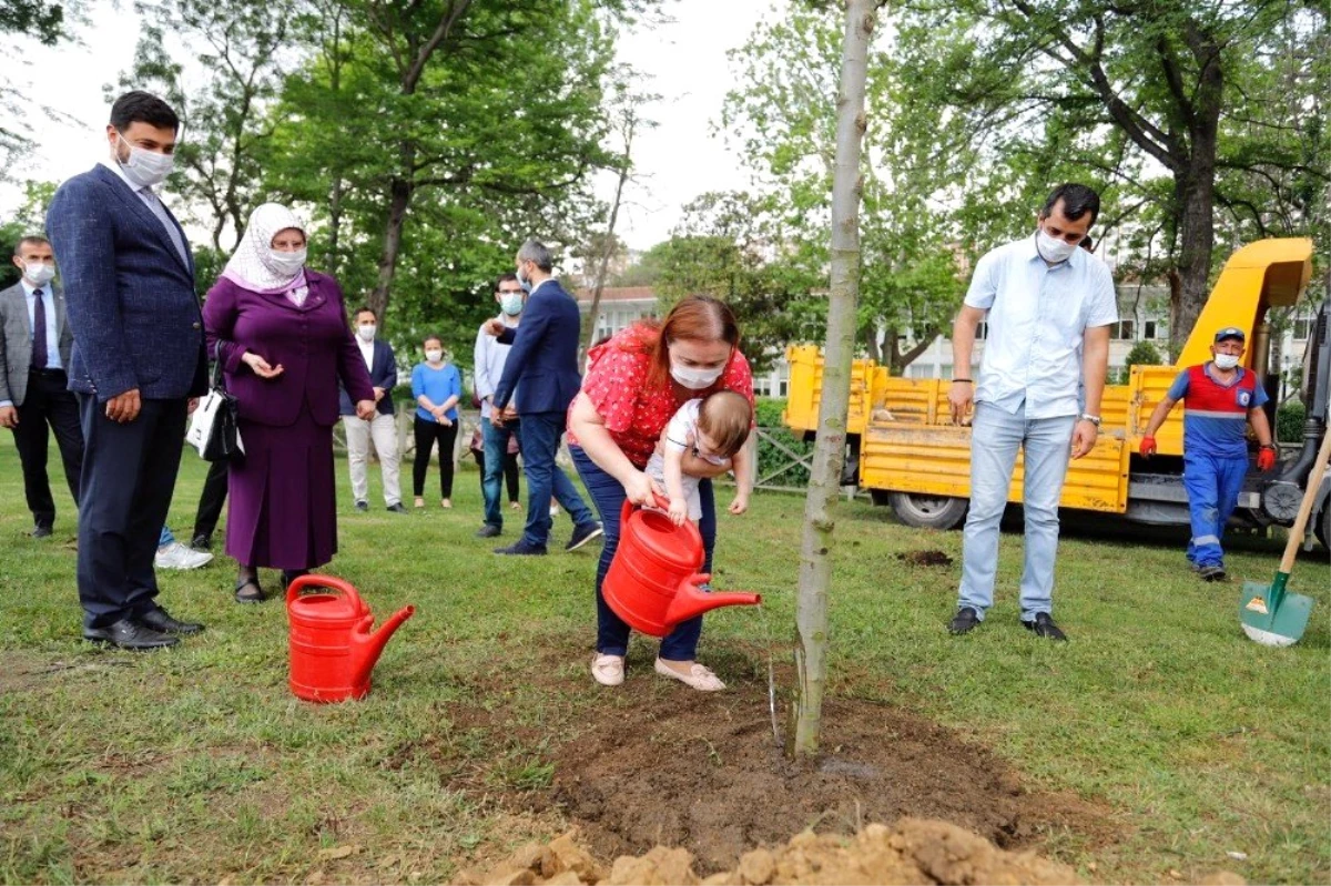 Dünya Çölleşmeyle Mücadele Günü\'nde çocuklar için ağaç diktiler