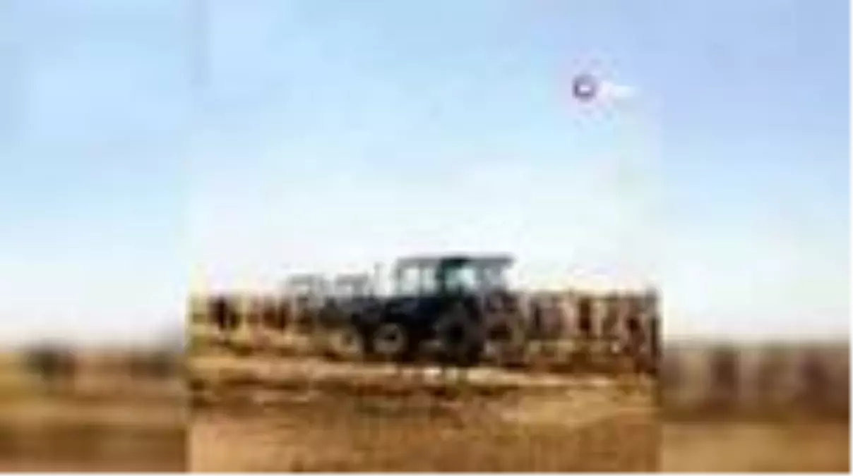 Elektrik tellerine temas eden saman yüklü tır küle döndü