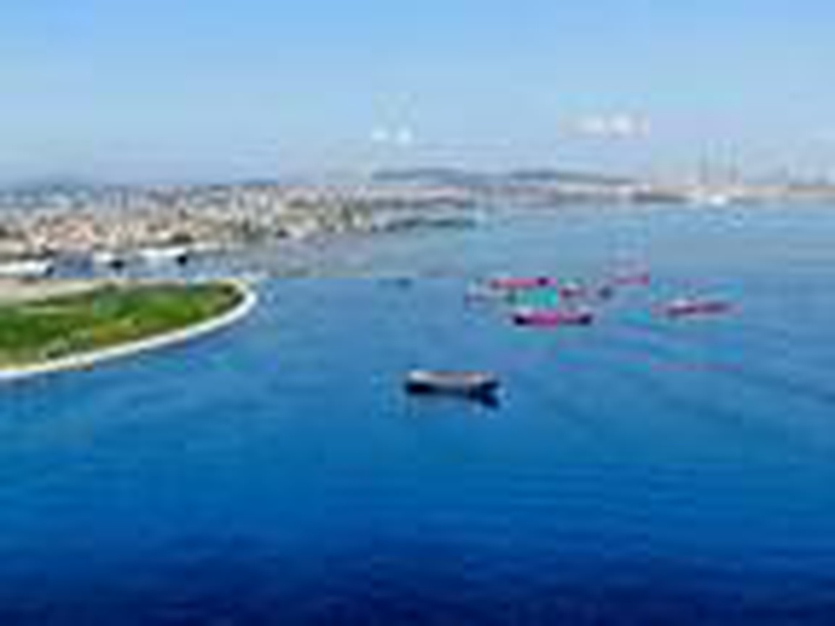 (Havadan fotoğraflarla) İstanbul açıklarındaki sahipsiz 7 gemi satışa çıkarıldı