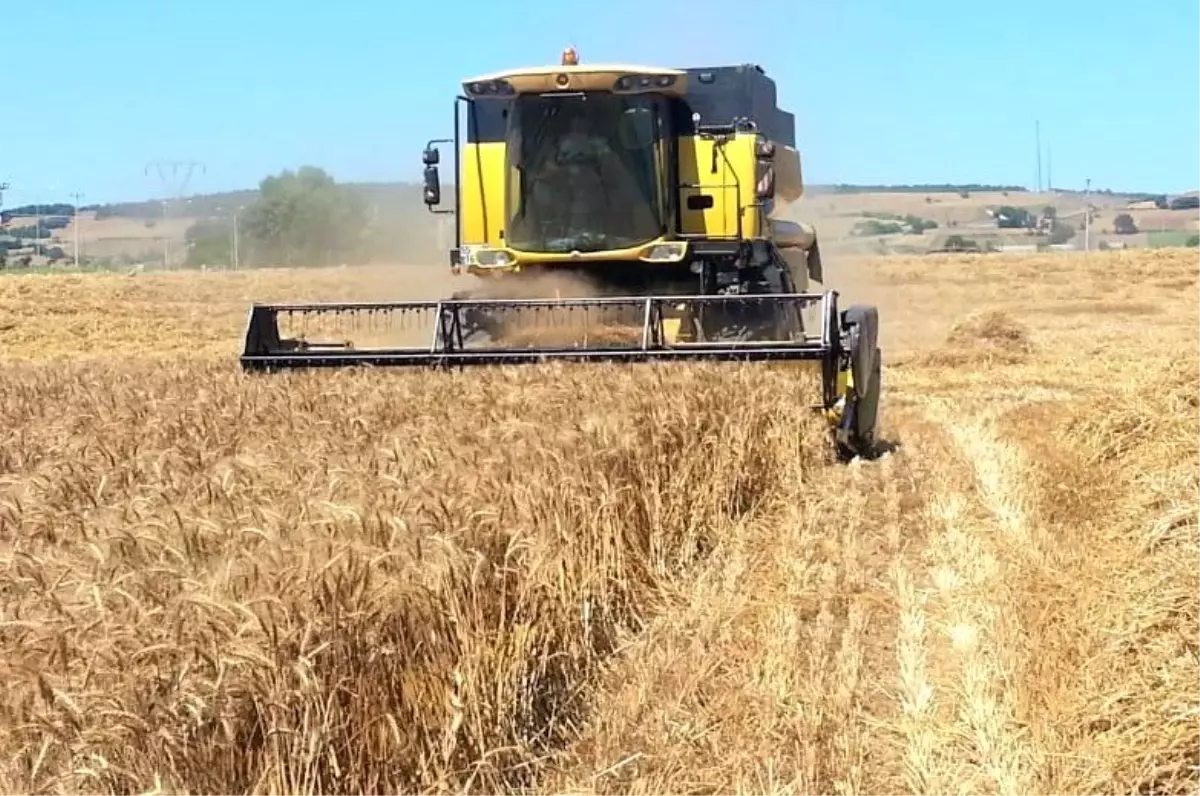 Hububat biçim fiyatları açıklandı