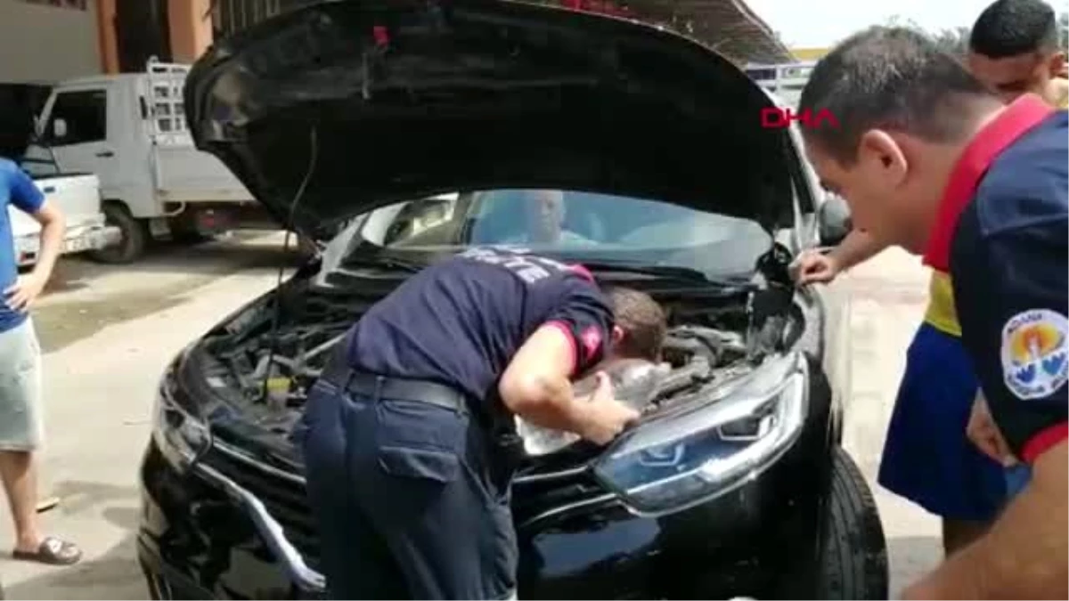Otomobilin motor kısmına giren kedi kurtarıldı