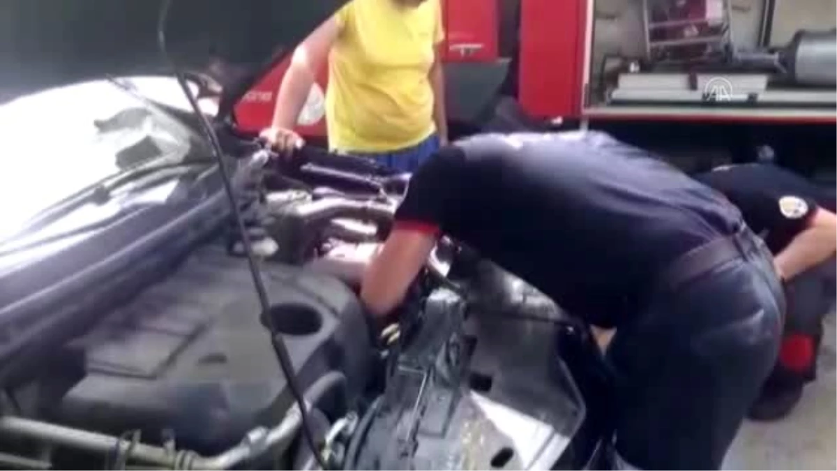Otomobilin motor kısmına sıkışan kedi yavrusunu itfaiye kurtardı