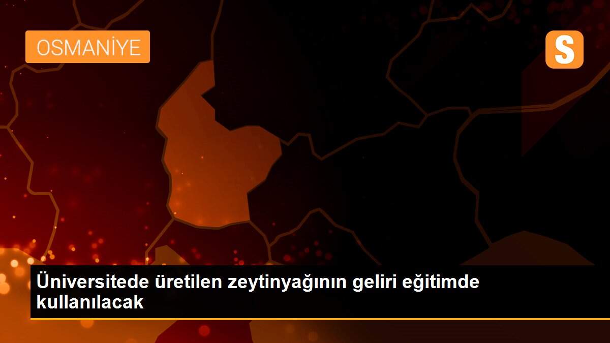 Üniversitede üretilen zeytinyağının geliri eğitimde kullanılacak