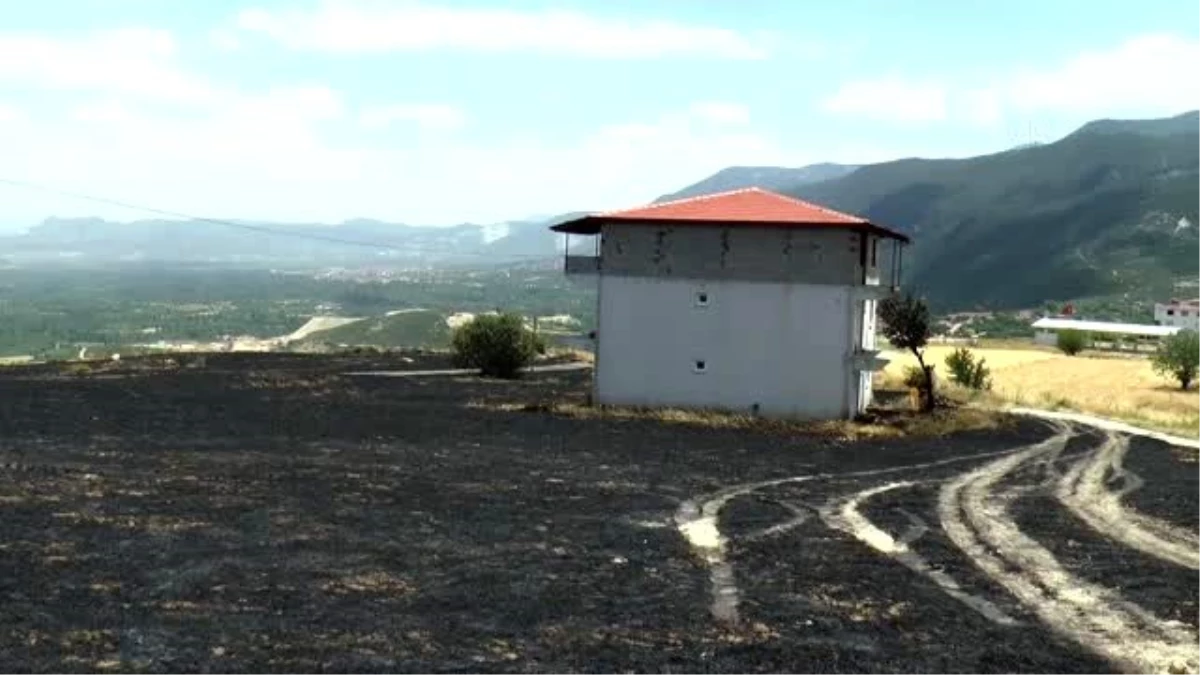 Yangında 80 dekar alandaki ekinler yandı