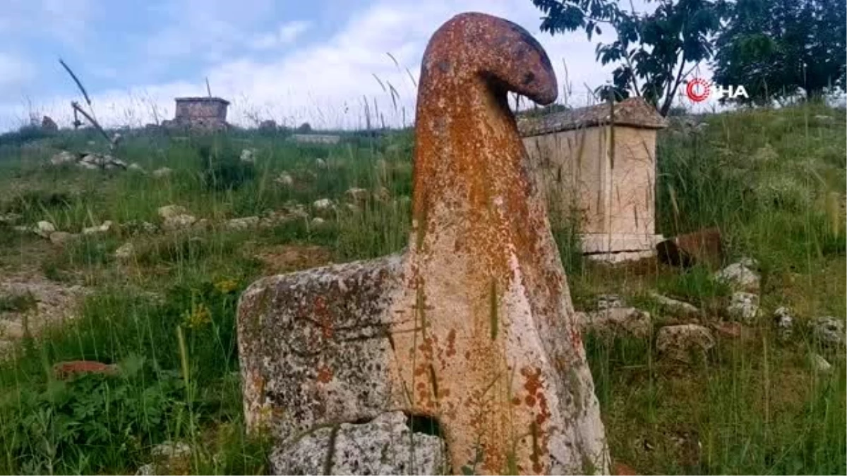 Asırlık mezarlara defineciler zarar verdi, köylüler sit alanı olmasını istedi