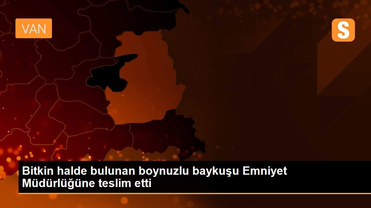 Bitkin halde bulunan boynuzlu baykuşu Emniyet Müdürlüğüne teslim etti