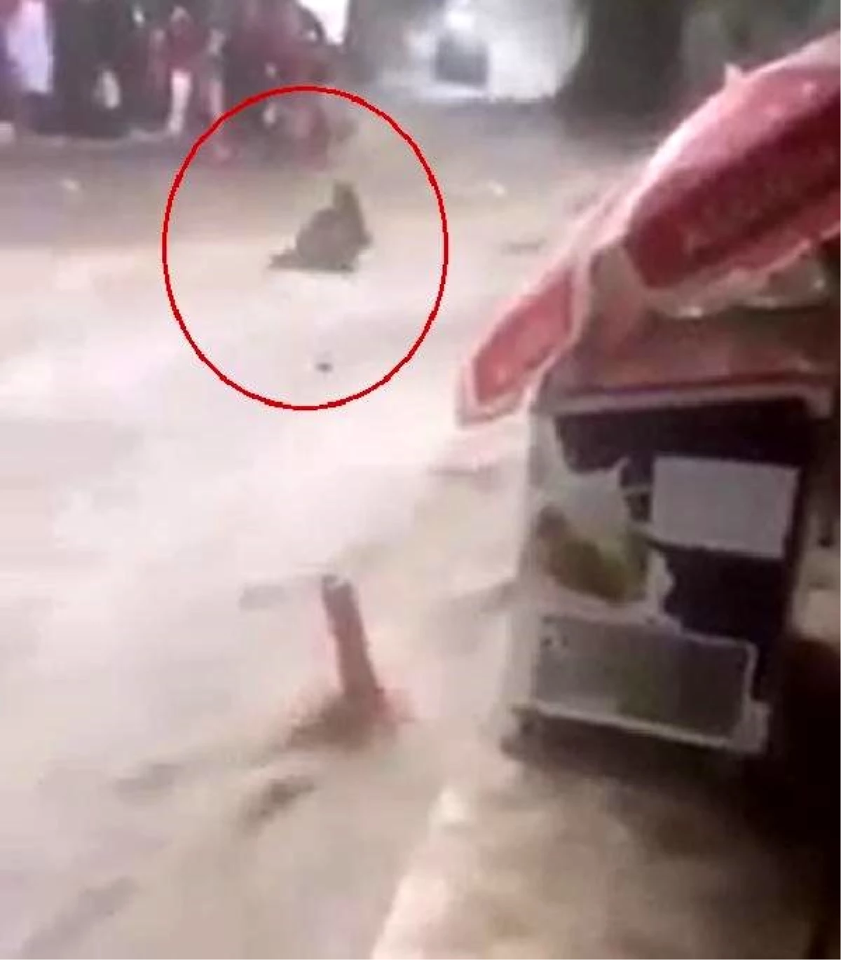 Bursa\'da sağanak sele yol açtı; suya kapılan kadın kurtarıldı (2)