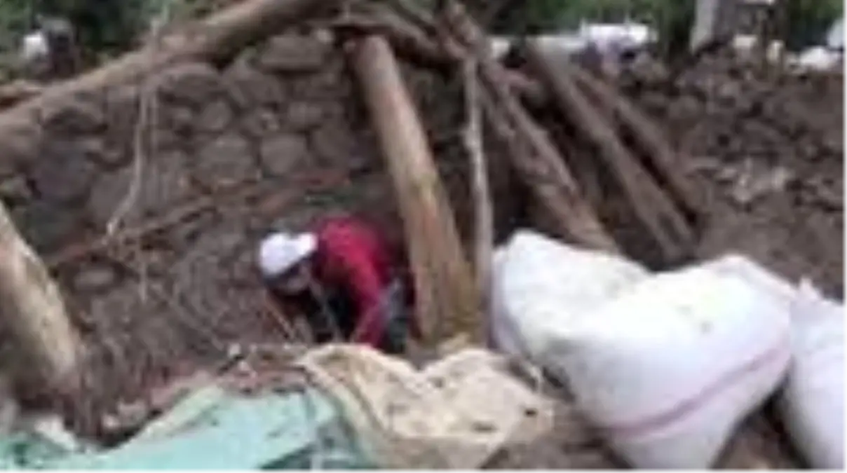 Depremden 5 gün sonra 2 kedi yavrusu enkazdan sağ çıkarıldı