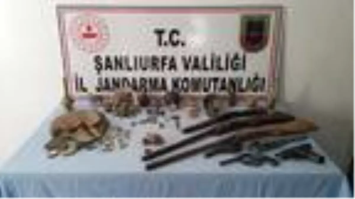 Evin bodrum katında kaçak kazı; tarihi eserler ele geçirildi